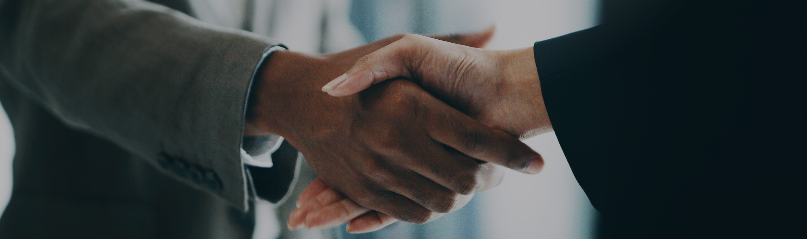 business hand shake