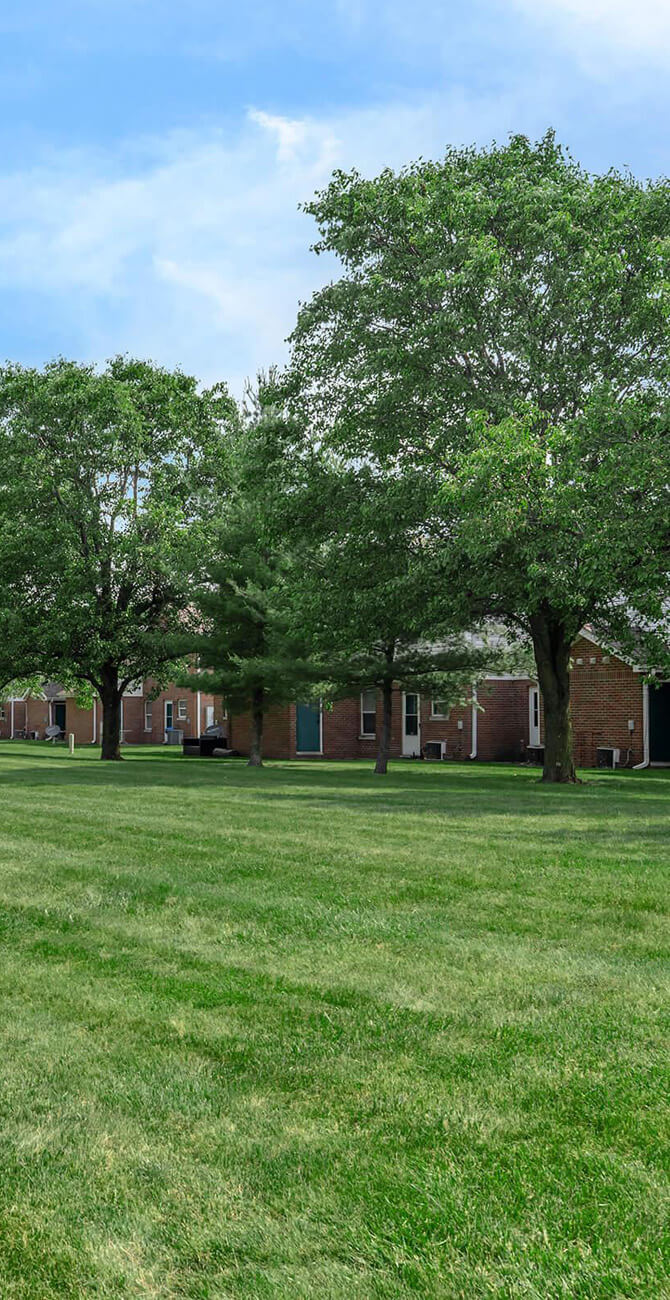 Trees above apartment roof